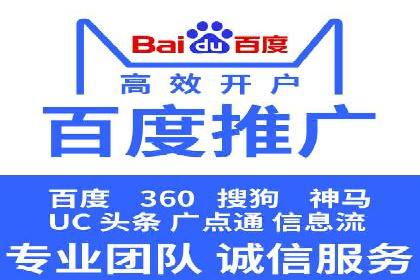 百度竞价广告投放全解析：成功案例揭秘