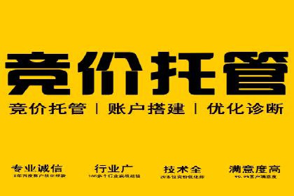 某科技公司网络推广竞价的成功之路